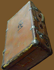Suitcase #681