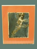 Contemporary Collage