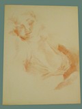 Sanguine Lead Drawing