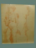 Sanguine Lead Drawing