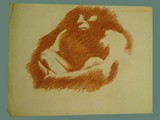Sanguine Lead Drawing