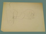 Sketch
