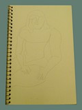Sketch