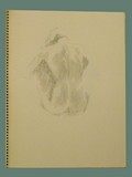Charcoal Drawing