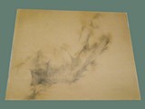 Charcoal Drawing