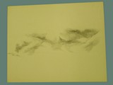 Charcoal Drawing