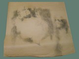 Charcoal Drawing