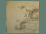 Charcoal Drawing