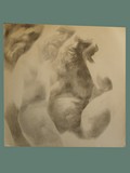Charcoal Drawing