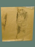 Charcoal Drawing