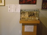 Holocaust artifacts