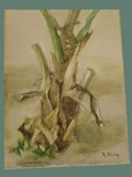 Contemporary Painting