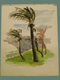 Tornado